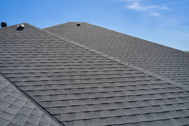  Cheval, FL Roofing repair and installation Pros